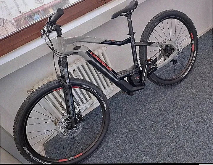e bike