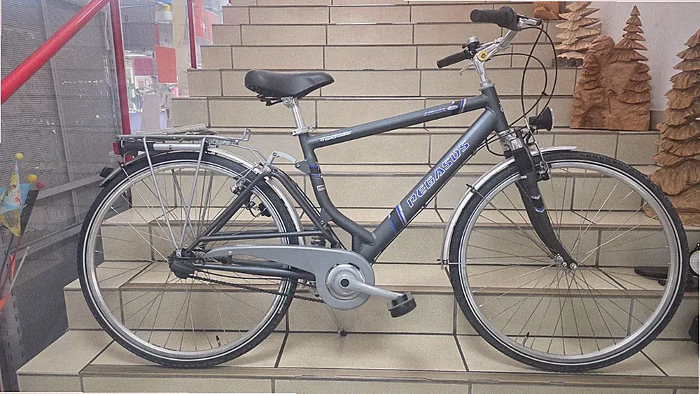 Pegasus Arcona Trekking Fully NEU