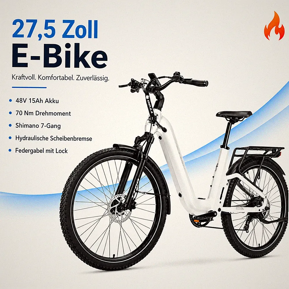 Grau E-Citybike